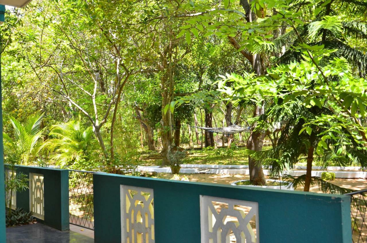 The Lion Rock Hotel Sigiriya Exterior foto